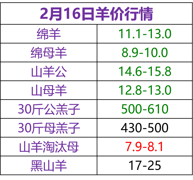 2024年10月 第8页