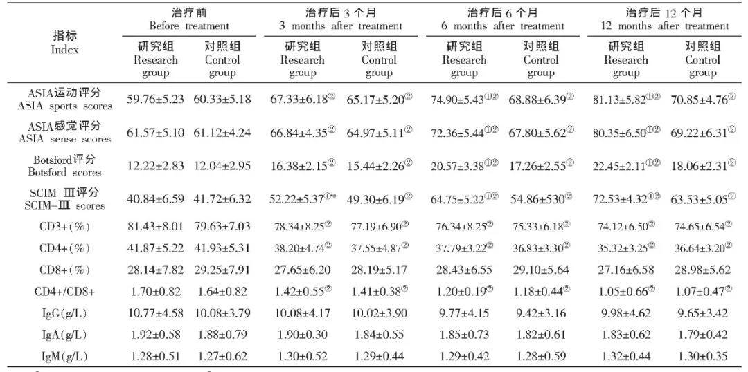 脊髓损伤最新突破成果，重塑康复的希望之光