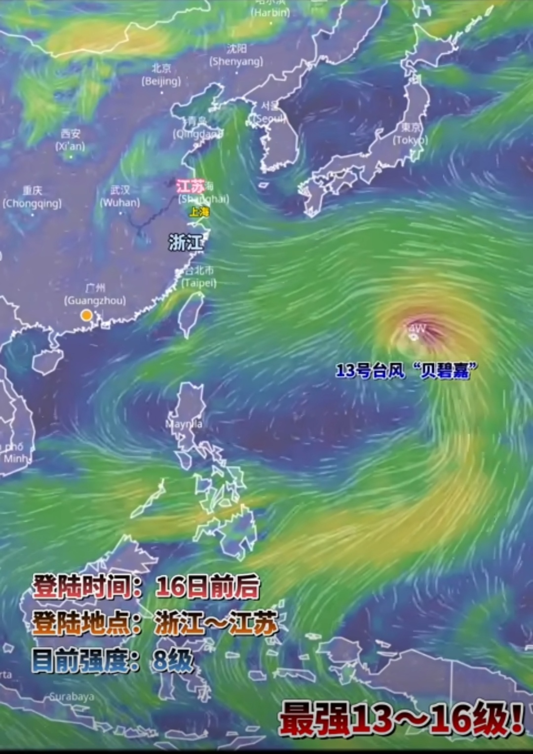 台风最新动态，关于台风13号的全面报告与分析