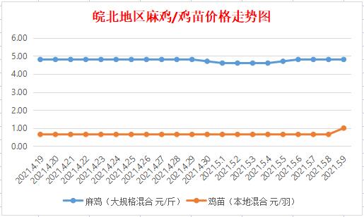 皖北麻鸡价格行情最新分析