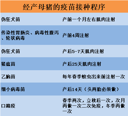 猪最新免疫程序表及其应用指南