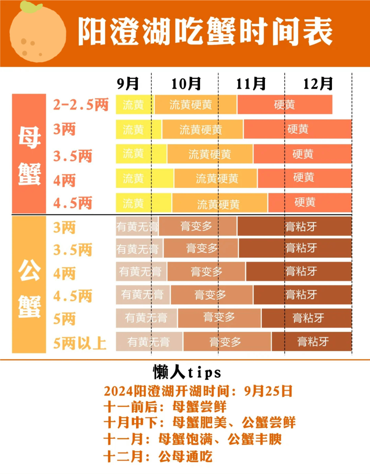 螃蟹最新价格与市场走势，影响因素及未来趋势深度解析