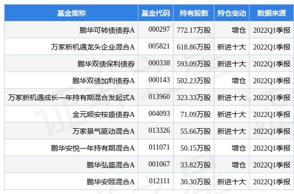 海达股份最新消息全面解读与分析