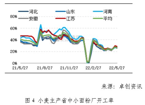 山东麸皮价格最新行情解析