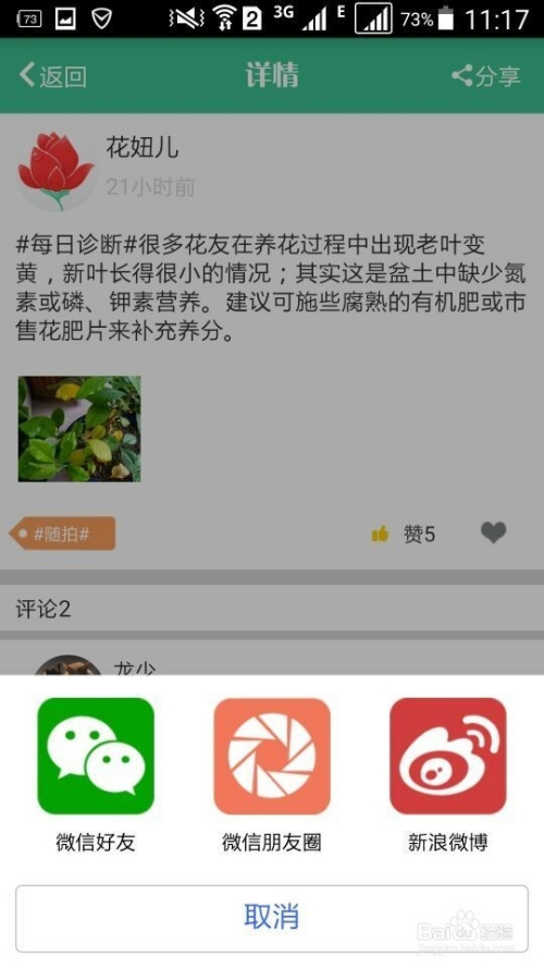 花开app最新版下载，探索与体验之旅