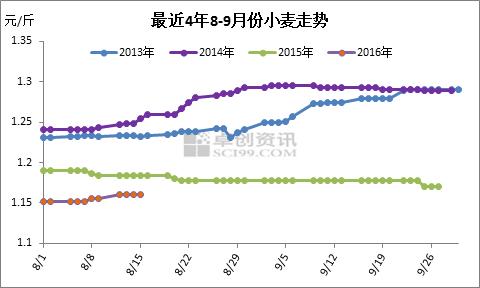 河北今日小麦最新价格动态解析