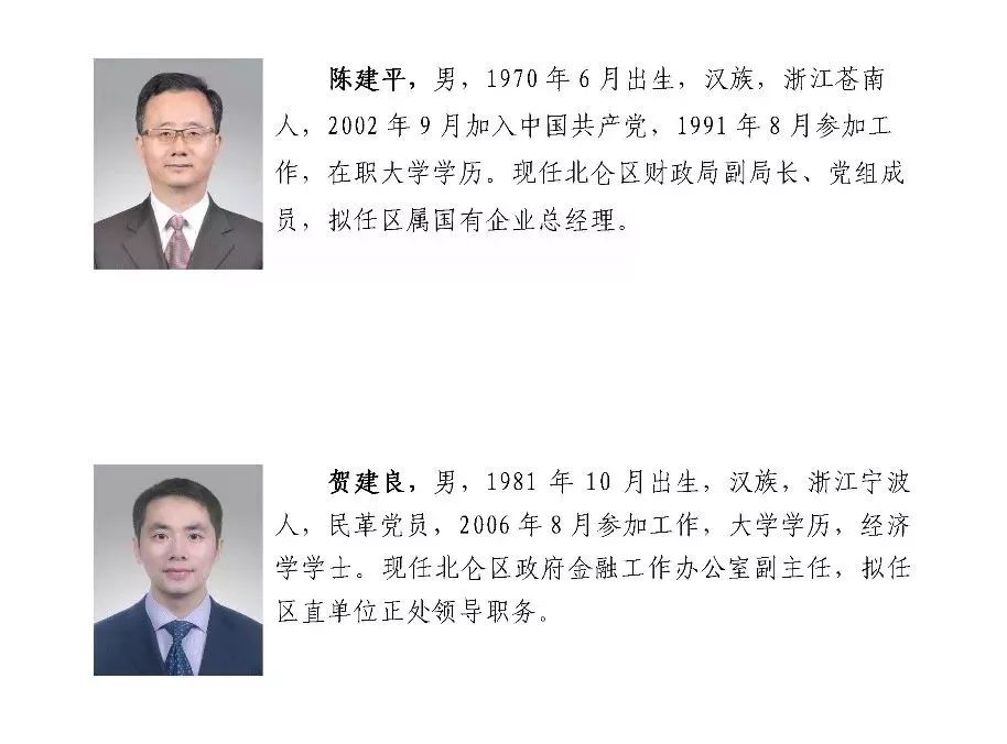 宁波最新人事任免动态概览