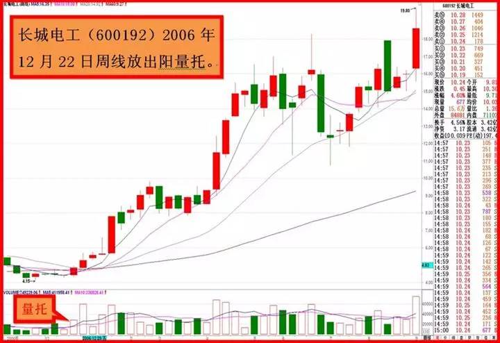 金蜘蛛最新招聘信息全面解析