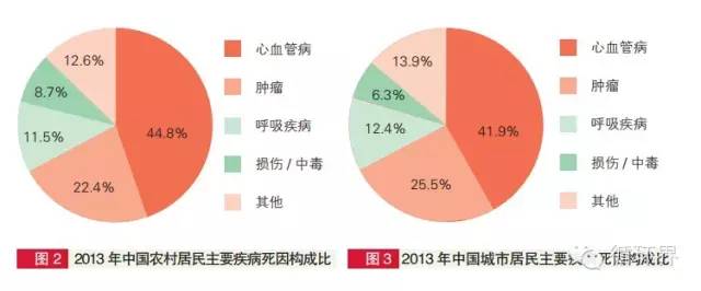 中国心脑血管疾病最新数据及其社会影响分析