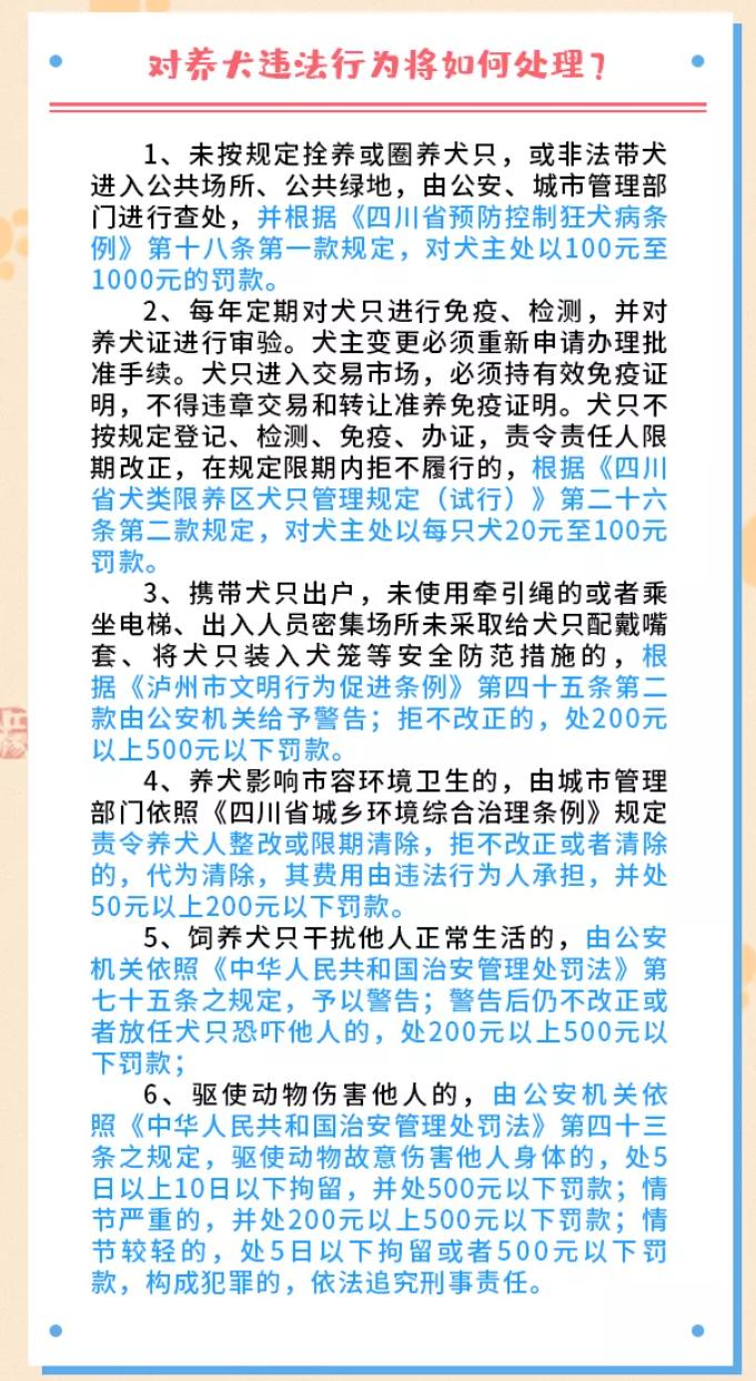 杭州最新养狗规定，打造人犬和谐共融的城市环境